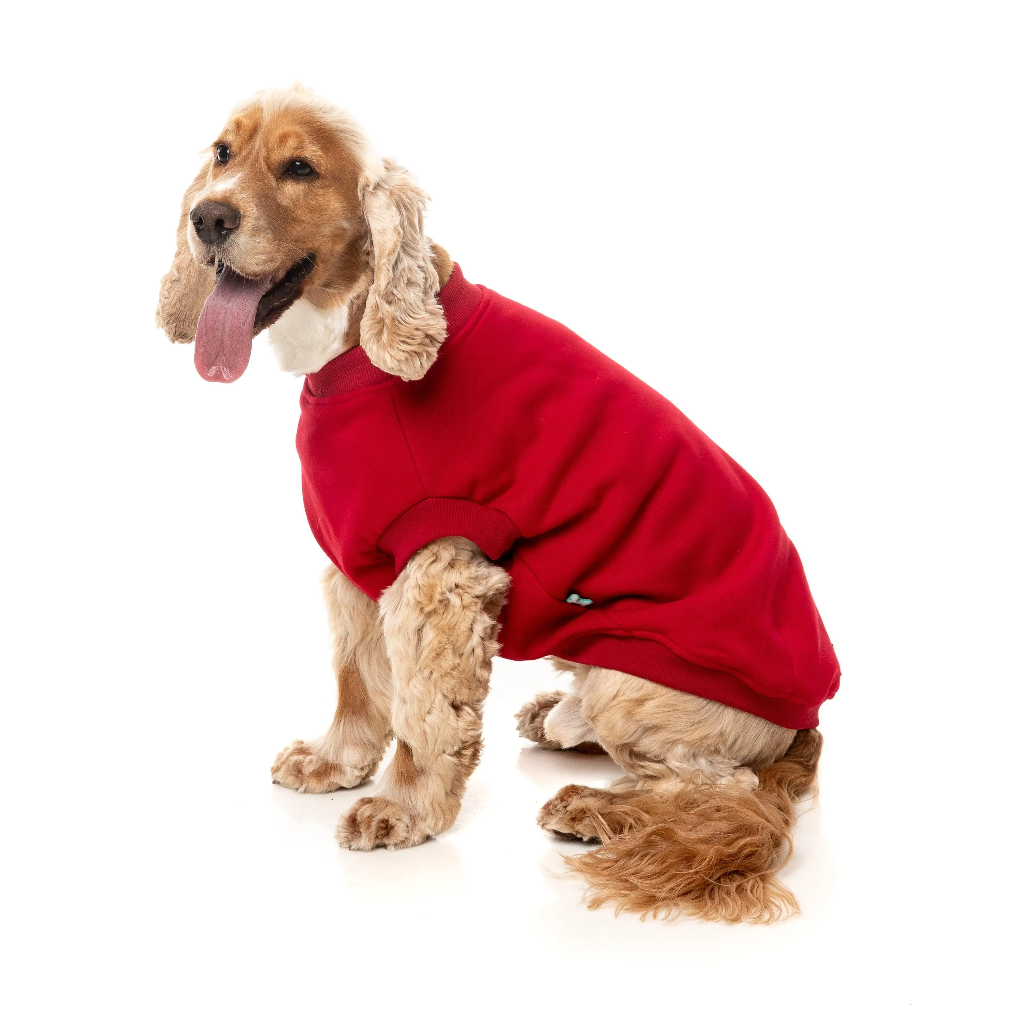 FuzzYard Dog Apparel Allday 25 Sweater Red Size 1