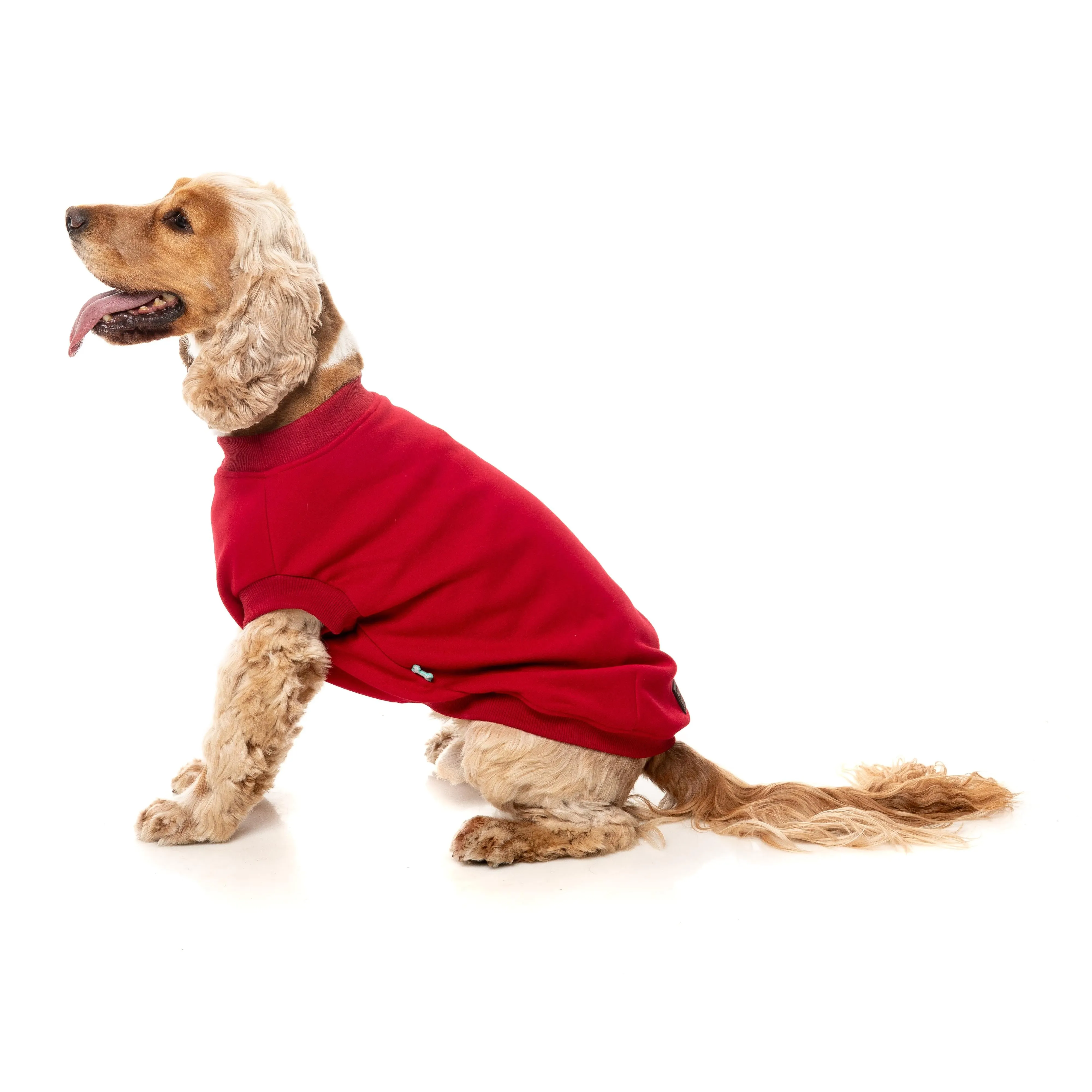 FuzzYard Dog Apparel Allday 25 Sweater Red Size 1
