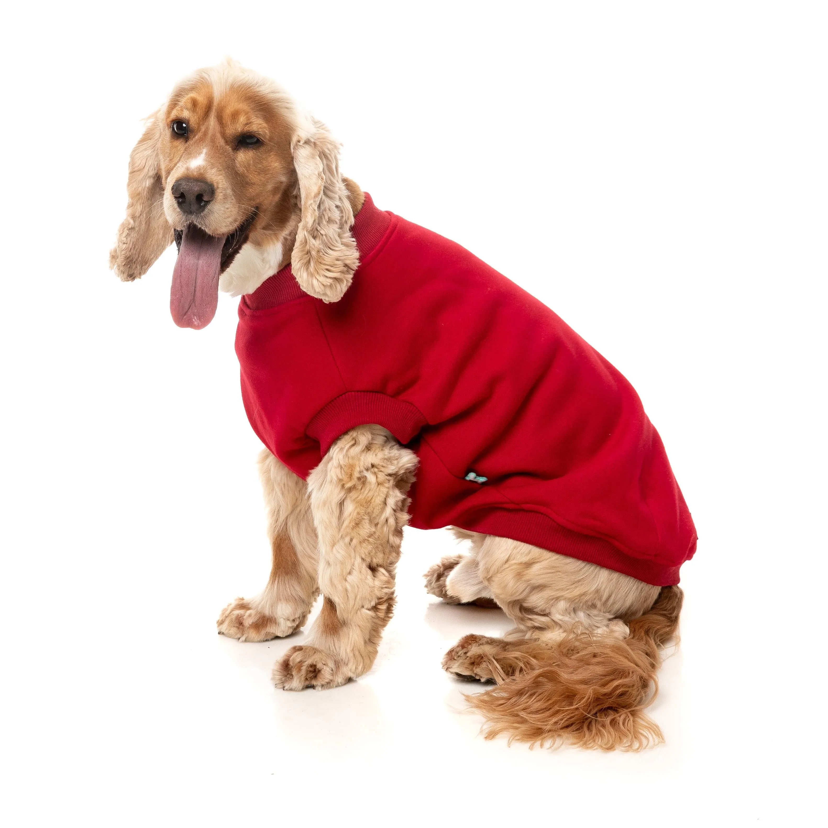 FuzzYard Dog Apparel Allday 25 Sweater Red Size 1