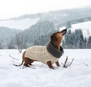 OATMEAL SUPER CHUNKY DOG SWEATER